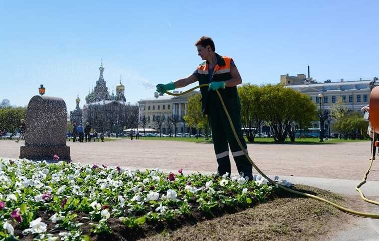 Контракты на благоустройство Ростовской улицы в Шушарах выиграл ПСФ «Корт»