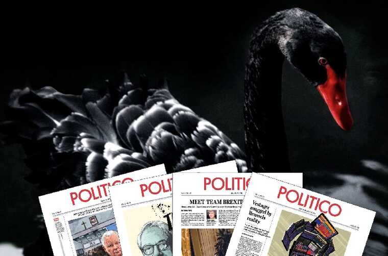 Секретные сделки и неожиданные альянсы: черные лебеди по версии Politico, которые могут потрясти мир в 2025 году